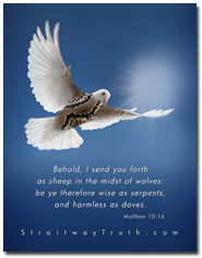 Dove Serpent - Matthew 10:26 www.StraitwayTruth.com
