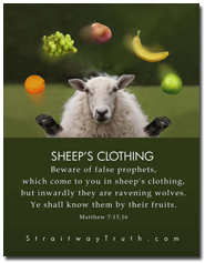 Sheep Frui t- Matthew 7:15-16 www.StraitwayTruth.com